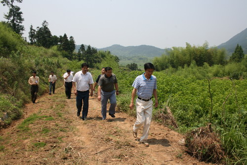 ʡ����ɣ���ơ�������Ŀ������������������ղϼ���ع��������Ŀ��ͼ��