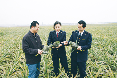 湛江检验检疫局帮扶水果蔬菜企业出口工作纪实