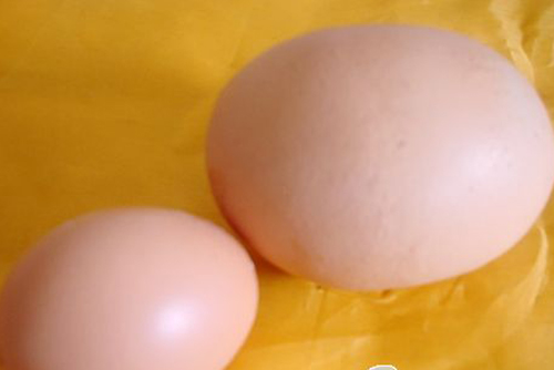 ĸ�������Ų��޵�1����5����