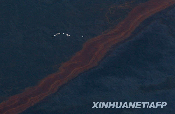 �°���˵������һ����ԴӦ��ī������©���¹�