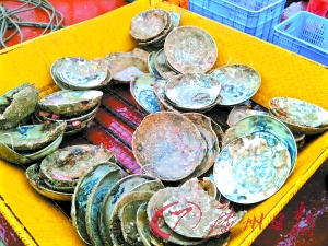 �����ų����ϰ�1�ų�ˮ������մ�������