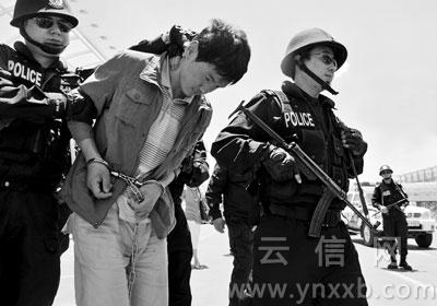 Ϊ����ǿ��ɱ���ӷ�����Ŀ��Ҫ�����ᡢƯ��������