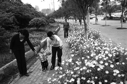 ͼ�ģ�10���꽭���ʻ�ʢ������·