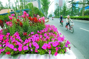 ����û���ã�40��Ա�ܷ�