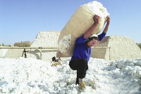 �޻��۸���ʮ���¸�����Э����֪ͨ��������