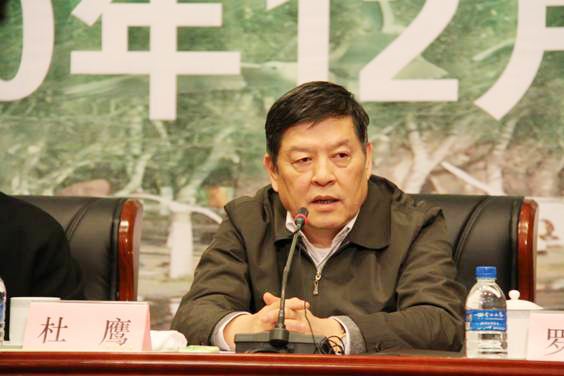 ��ӥ�����γ�ϯȫ����չ�ĸ�ϵͳ�������ù������������������̸�Ტ����