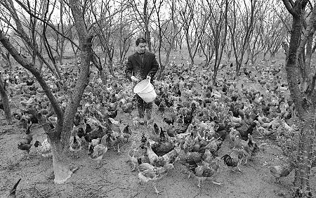 ��ɽ������18��ũ��Ʒע��Ϊ������־�̱�