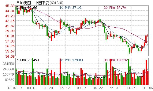 收入证明_平安保险 收入(2)