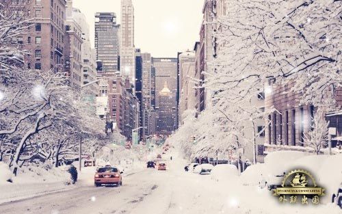 寒冬将至 大雪难阻哈德逊城市广场项目引爆纽