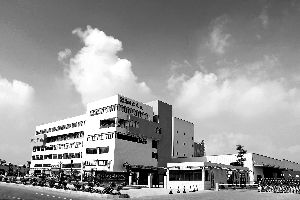 地主公司土地变性 业绩变靓_焦点透视