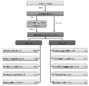 股东监事有权查公司银行流水 新浪网