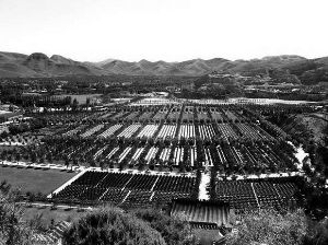 福成五丰15亿购墓园 成A股首个殡葬概念股 -中