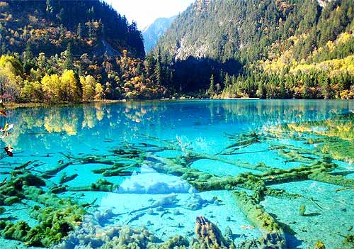 北方旅游遭遇高“烤” 游人南下寻清凉(图)