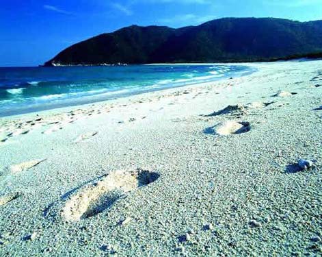 海南离岛免税有望明年初实施 已对26国游客免签证