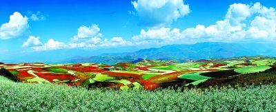 冬天到昆明旅游的十大理由(图)