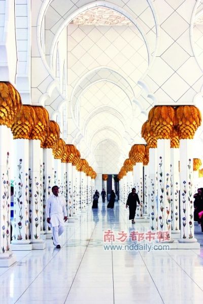 魔都迪拜:我是一只变色龙(组图)