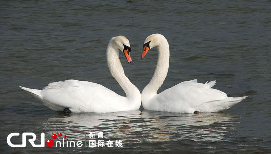 探访波兰的“琥珀之都”:格但斯克(图)