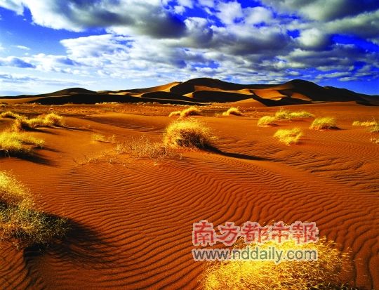 行走热带荒漠 遥想三毛与荷西(图)