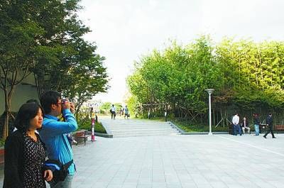 釜山和福冈 动静相宜姐妹城