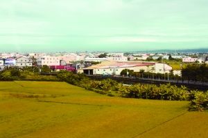 台湾旅行纪念品:买什么东西最“台湾”(组图)