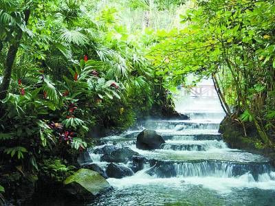 哥斯达黎加富饶海岸(组图)