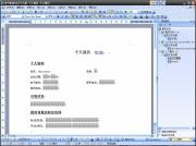 永中Office精简版 2010 for Linux_中文处理_应