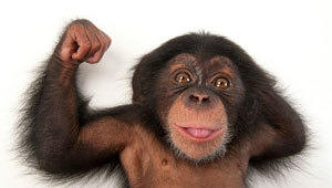 ��Ȼ������ӰʦΪ��Σ��������Ф��