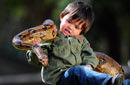 澳大利亚2岁男童与蟒蛇鳄鱼玩耍毫无惧色