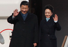 ���ݱ�������1