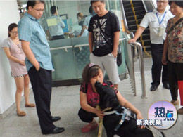 �ȵ�:��������ġ��۾�������