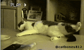 ˯���е�������( _ )