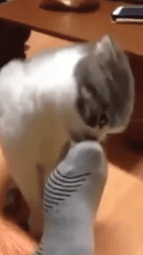����ˬ����ֱ�������ţ�