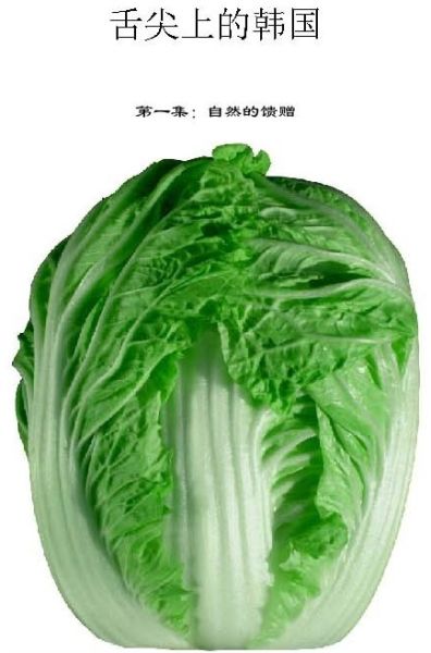 搞笑精选:舌尖上的韩国|囧哥说事|图哥乐呵|神最