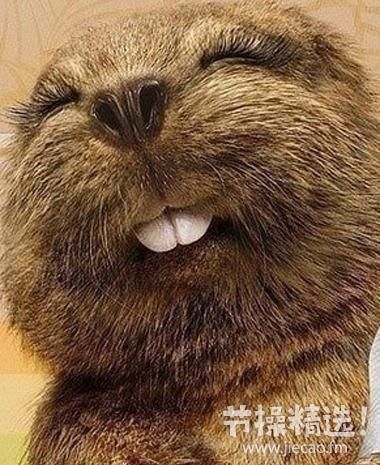 节操精选:疑范爷男友曝光