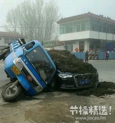 节操精选节操精选141231：百无聊赖的猫生啊！
