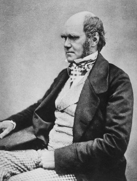 达尔文（Charles Robert Darwin，1809―1882），英国生物学家、进化的自然选择理论提出者。