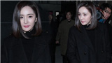 胡杏儿大婚穿中式礼服