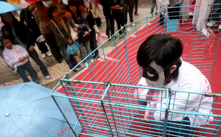 图文:志愿者戴着狗面罩宣传爱护动物