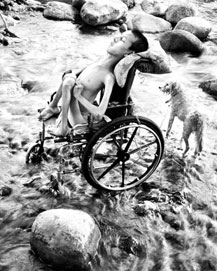 ������������Ե