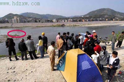 首次飞临福鼎白天鹅惨遭射杀