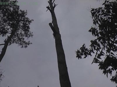 ����������˭�µĺ���