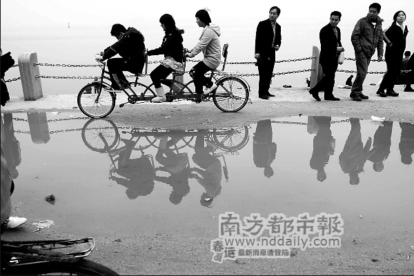 百色春节旅游收入(2)