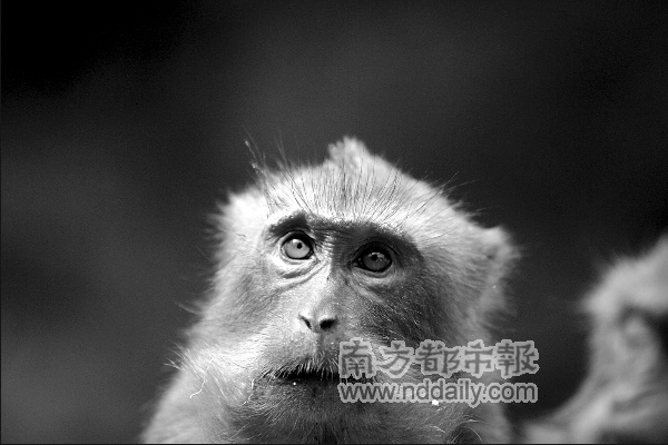 和城市零距离_新闻中心_新浪网