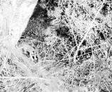 �ǲ��ǻ��ϻ������ڻ�����˵