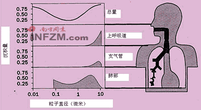 专家吴兑：交通尾气污染已占第一位