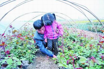 为收养生病弃婴,夫妻不生育贷款种玫瑰,回收商