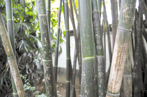 就算到此一游 也别刻字为证_新闻中心_新浪网