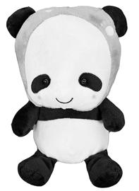 超口爱超可爱 大熊猫玩偶跳上公益平台