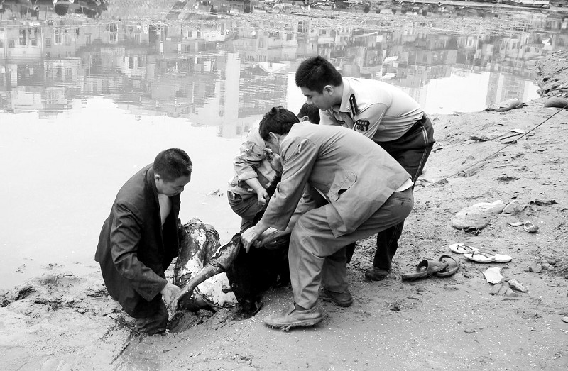 沙坡尾渔港避风坞:淤泥里“挖”出一女子_新闻中心_新浪网