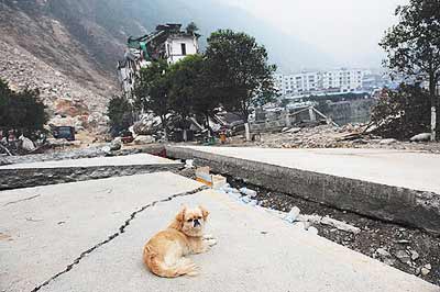 记者目击震后北川：一座没有人的城市